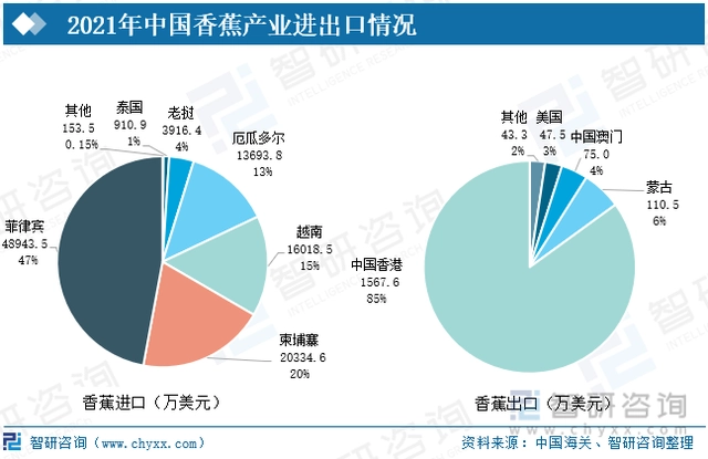 广东水果种植面积_广东水果种植基地_广东种植水果致富