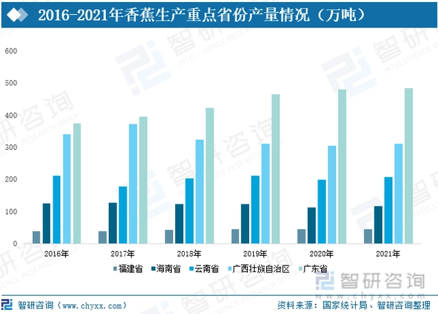 广东水果种植面积_广东水果种植基地_广东种植水果致富