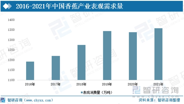 广东水果种植面积_广东水果种植基地_广东种植水果致富