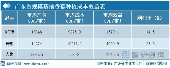 广东水果种植基地_广东种植水果致富_广东水果种植面积