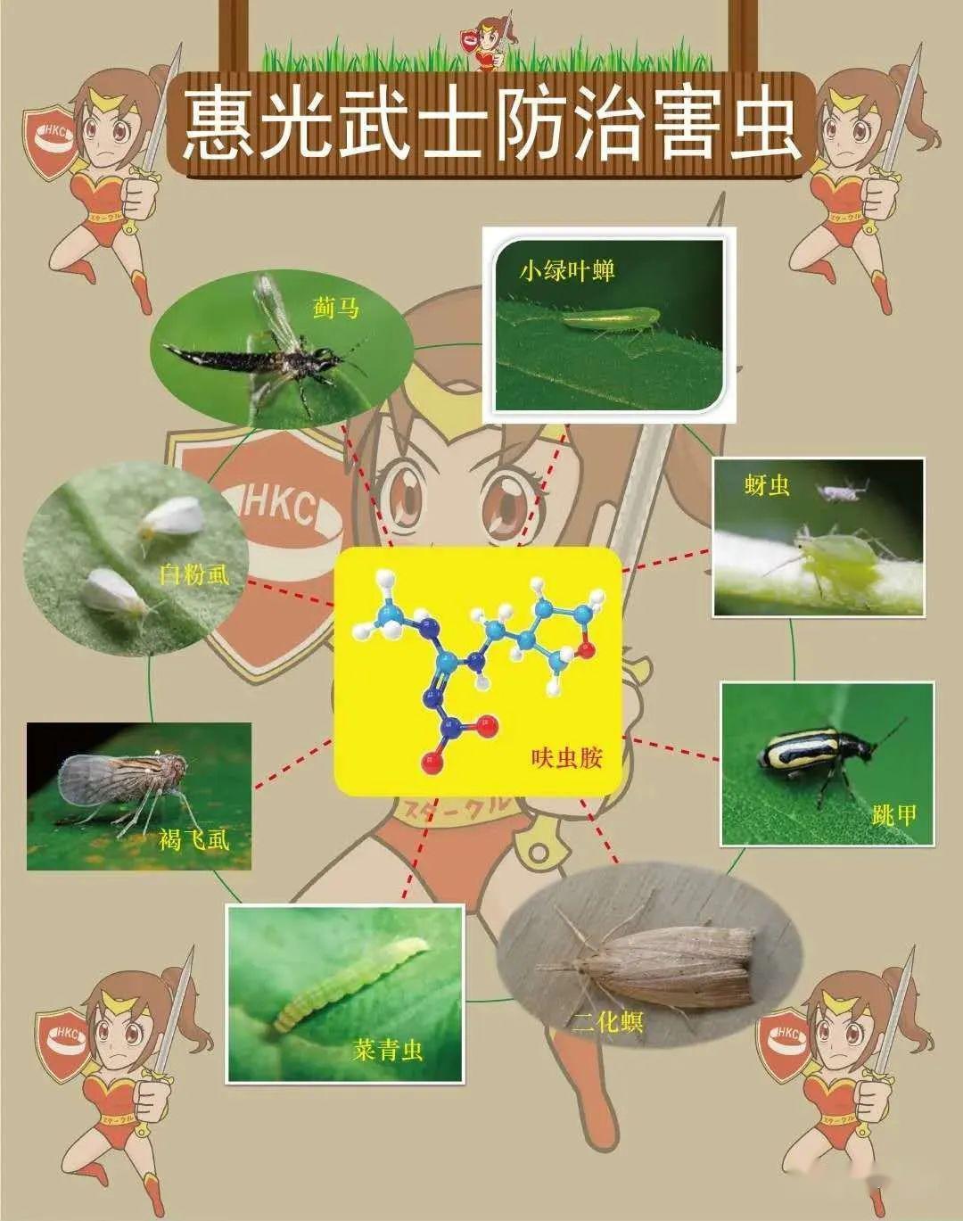 西红柿栽培种植技术_栽培西红柿种植技术视频_栽培西红柿种植技术要点