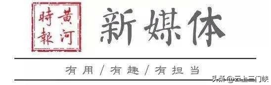 灵宝市阳平镇咀头村：千亩洋姜孕育“新希望”