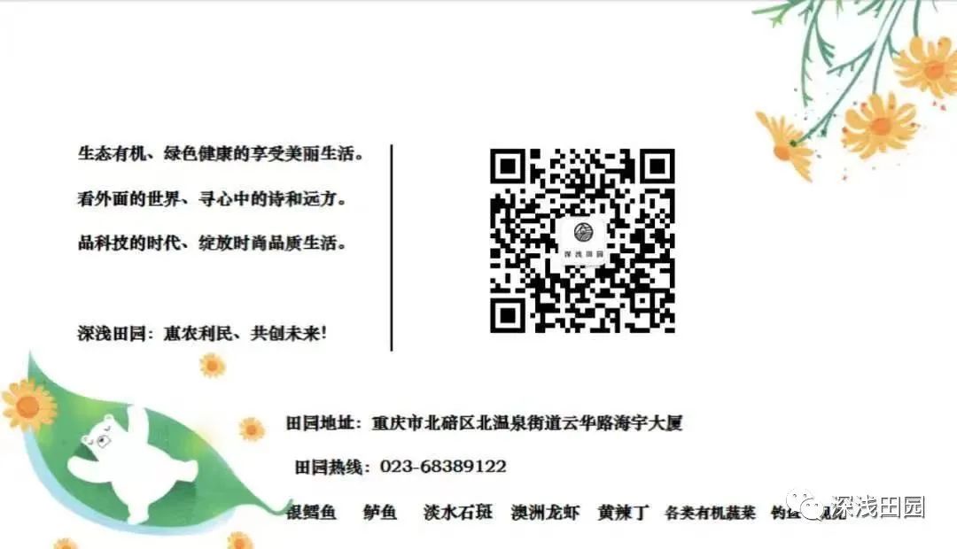 养殖翘嘴鱼什么饵料最好_翘嘴鱼种养殖技术_2020年翘嘴鱼养殖前景