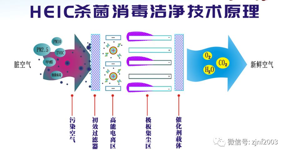 农村养殖致富新风口_农村致富新项目养殖_致富经创业项目农村养殖