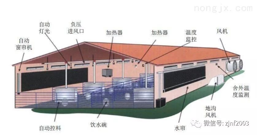 致富经创业项目农村养殖_农村致富新项目养殖_农村养殖致富新风口