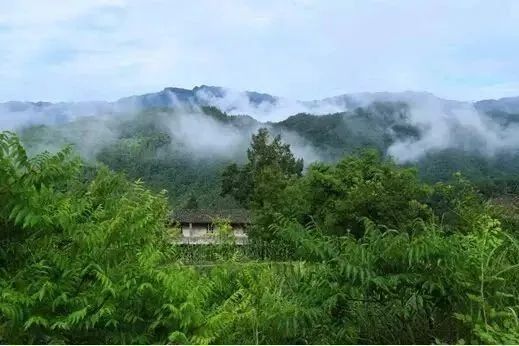 蜜蜂农家_蜜蜂致富经_致富经农村土蜜蜂