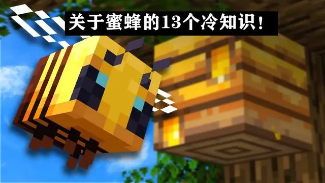 Minecraft蜜蜂养殖指南：关于蜜蜂，你可能不知道的13个冷知识！