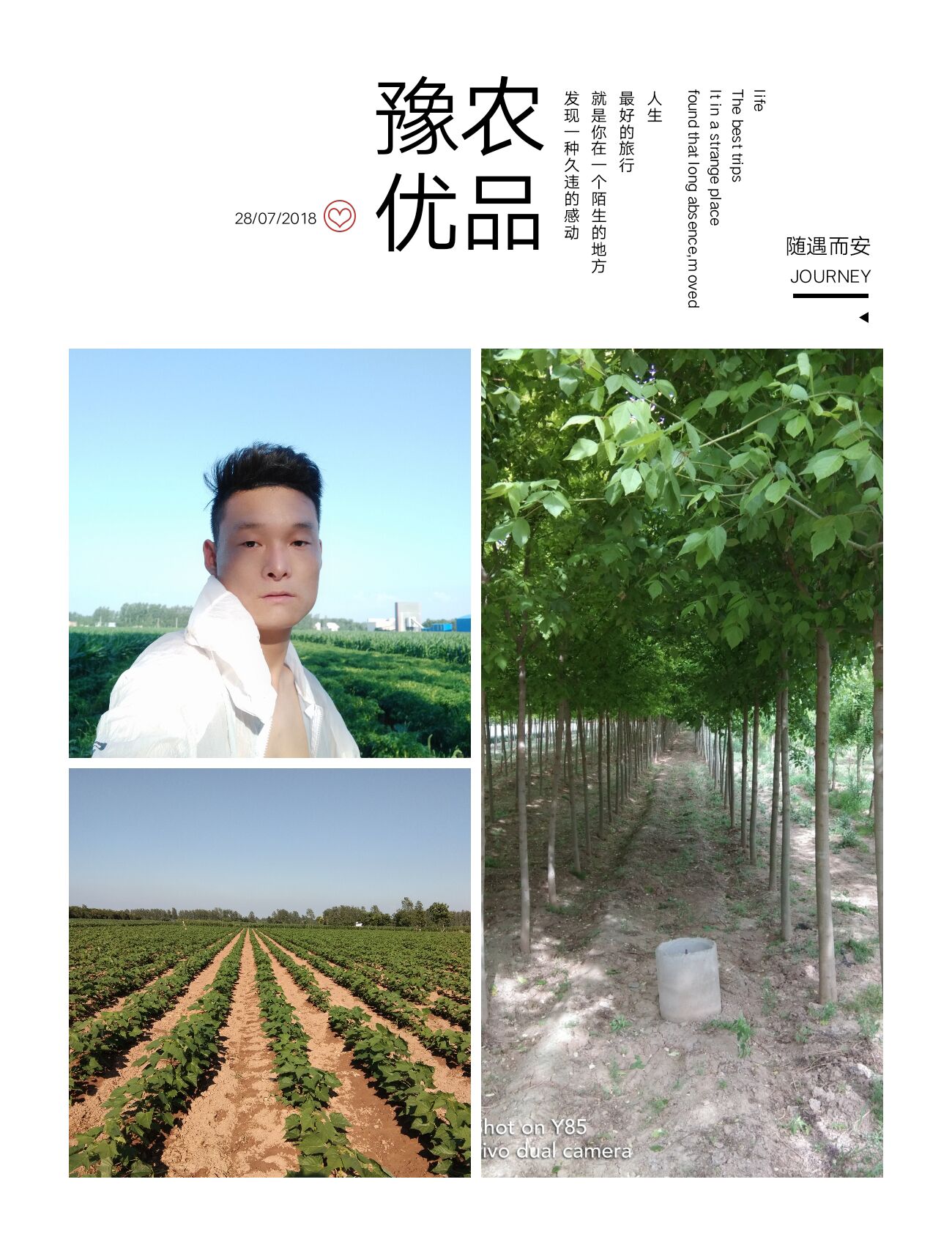 河南农村致富新项目_河南农业种植致富项目_致富种植农业河南项目中标公告