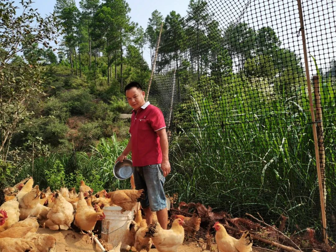 致富养猪场下载_致富经养殖下载_致富养殖下载app