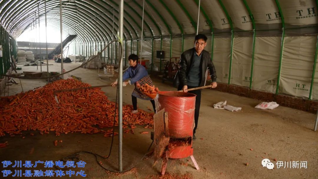 面包虫养殖视频教材_面包虫致富经养殖视频_面包虫养殖视频教程