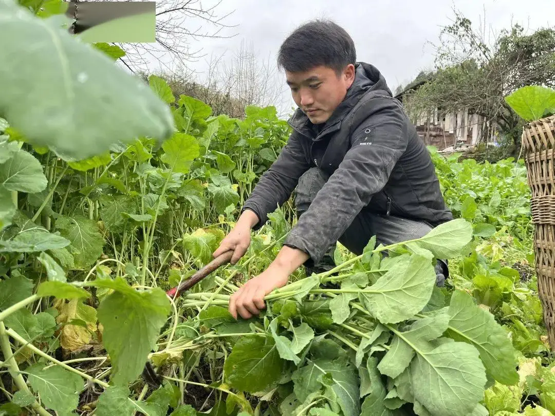 家庭养殖致富项目有哪些_居家养殖致富_居家养殖什么项目比较好