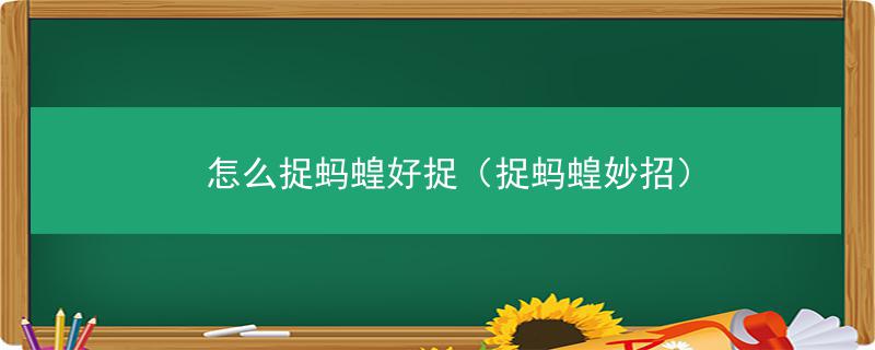 养殖东北水蛭网箱技术视频_东北水蛭网箱养殖技术_养水蛭网箱用什么规格