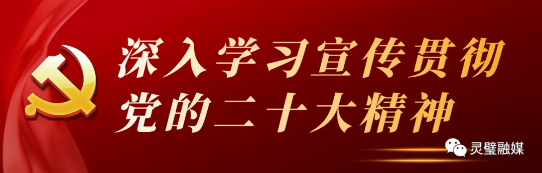 养殖鹌鹑技术大全光盘_养殖鹌鹑技术_养殖鹌鹑技术大全视频大全