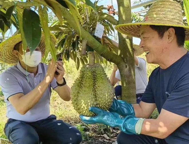 致富经种植三种水果亩收入过亿_致富水果种植视频_种植水果致富