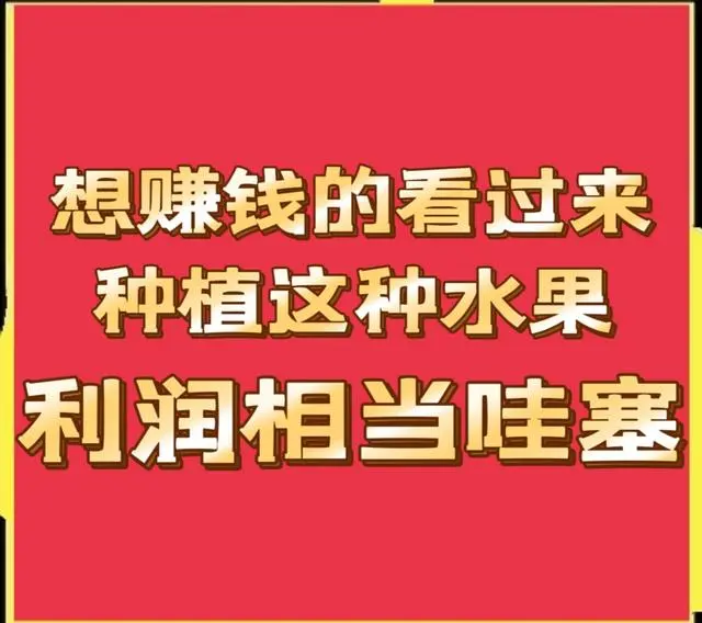 种植水果致富_水果种植赚钱吗_致富水果种植视频