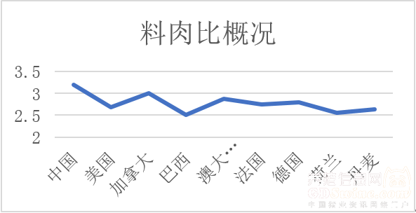 现代化养殖蔬菜视频致富经_新型致富项目蔬菜_致富经蔬菜种植视频