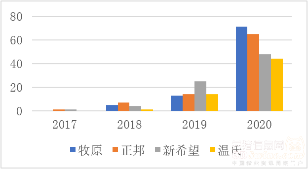 致富经蔬菜种植视频_新型致富项目蔬菜_现代化养殖蔬菜视频致富经