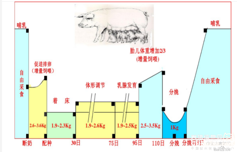 现代化养殖蔬菜视频致富经_致富经蔬菜种植视频_新型致富项目蔬菜