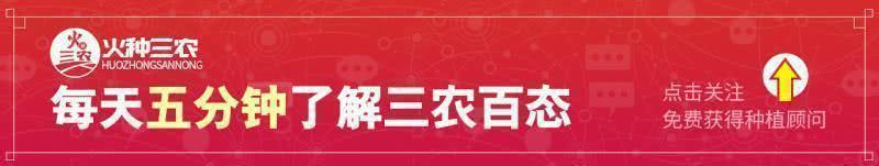 害虫变身致富虫！25元一斤，养殖还不费劲，半年至少能收200斤！