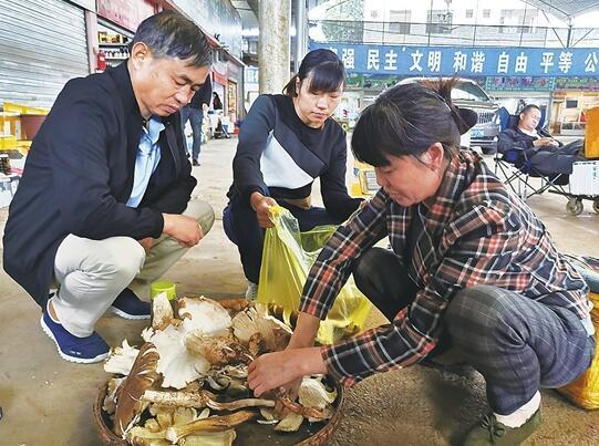 野生菌即将落潮，量少价格仍亲民