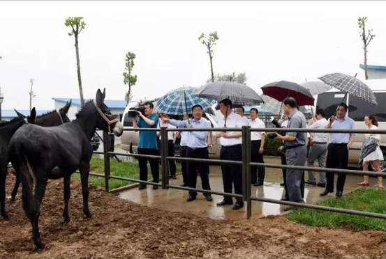 青蛙网箱养殖技术_青蛙网箱养殖技术_青蛙网箱养殖技术