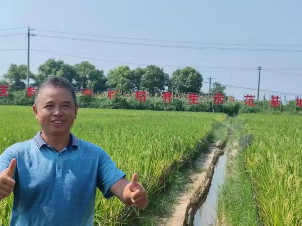 蛋鸭养殖致富_养殖蛋鸭的成本和利润_致富经养蛋鸭技术视频