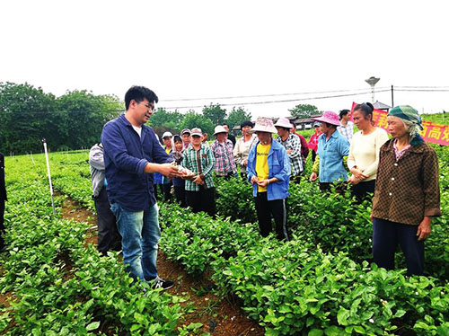 科技赋能脱贫路 乡村振兴可持续——我市深入推行科技特派员制度助力脱贫攻坚