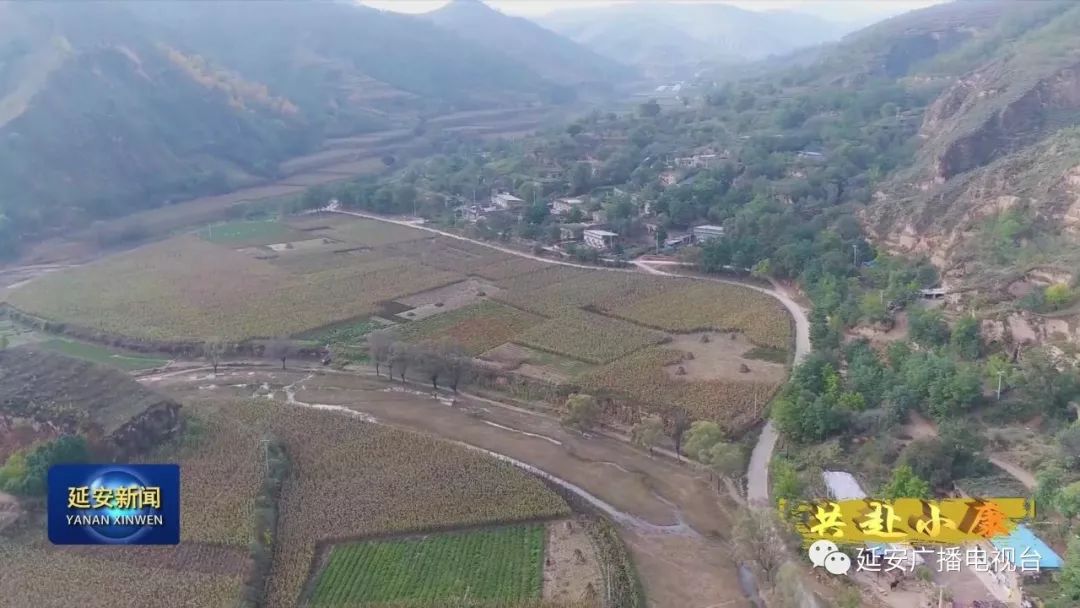 夏天茄子露地种植技术_露天茄子种植技术_种植露天茄子致富