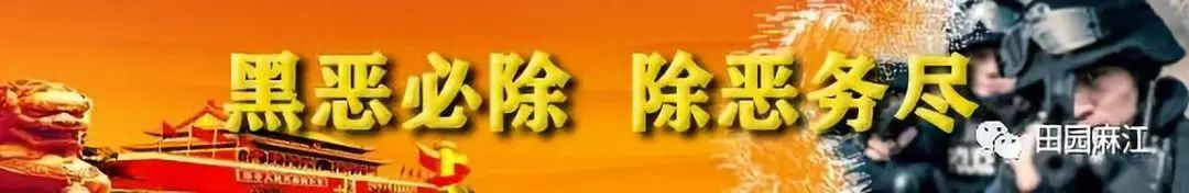 【农村产业革命】干桥村：探索循环养殖、生态利用模式 发展养牛产业带领群众致富