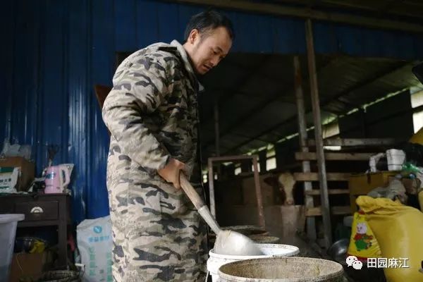 致富经肉牛养殖_致富苗养殖肉牛好吗_肉牛苗养殖致富