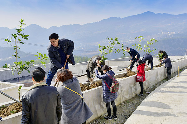 师生种植致富花_种花致富经_致富经花卉创业