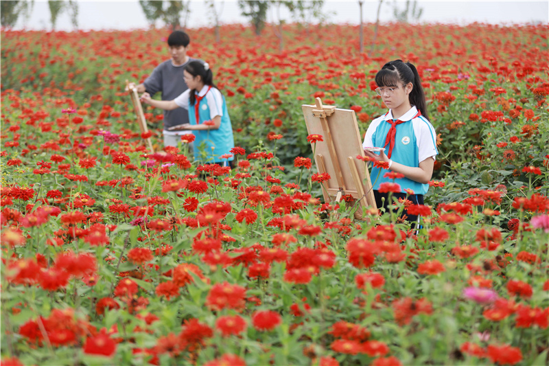 致富种植视频全集_师生种植致富花_致富师生种植花生视频