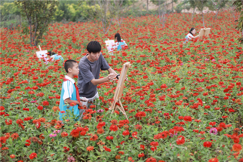 致富师生种植花生视频_致富种植视频全集_师生种植致富花