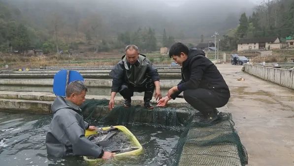 生态水养殖致富_致富养殖项目_致富养殖业