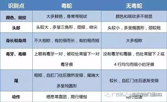 广西无毒蛇养殖技术_2020广西养殖蛇现在政策_无毒养殖广西蛇技术怎么样