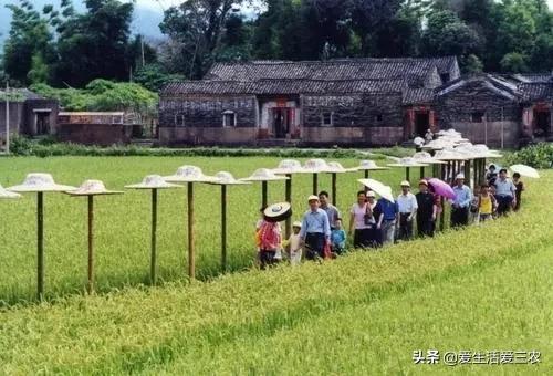 特色农业种植项目_特种农业种植致富项目_农业特种养殖致富项目