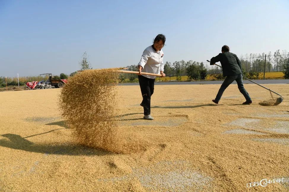 养殖致富专题南通_南通最大养猪基地址_南通地区哪里可以养殖