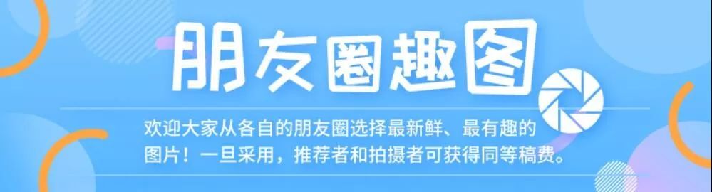 南通地区哪里可以养殖_南通最大养猪基地址_养殖致富专题南通