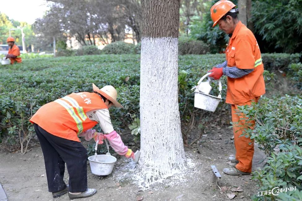 南通最大养猪基地址_南通地区哪里可以养殖_养殖致富专题南通