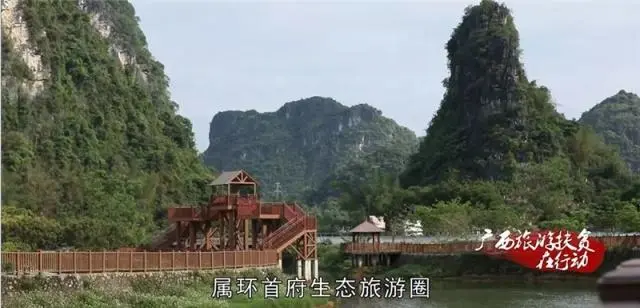 种植山银花致富_山银花种植技术_山银花亩产量