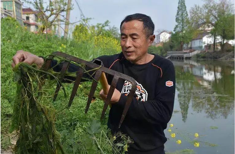 养殖致富专题南通_南通养殖基地_南通最大养猪基地址