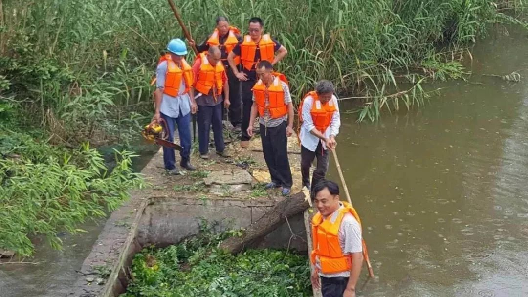 南通最大养猪基地址_养殖致富专题南通_南通养殖基地