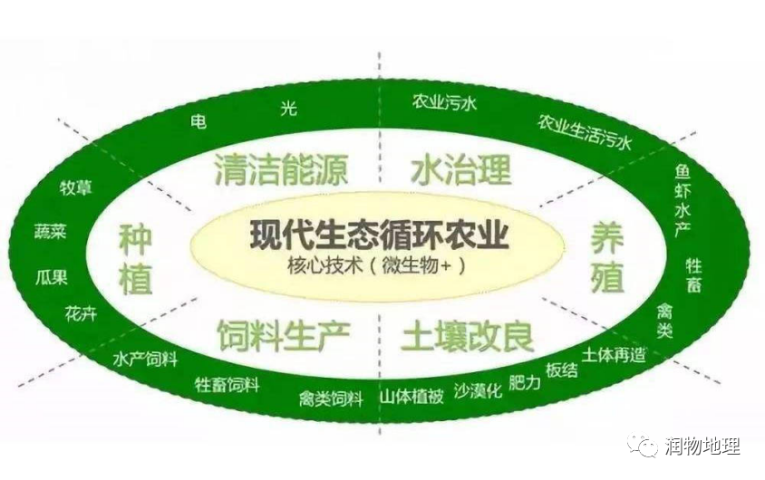 养殖田螺日本技术要求_养殖田螺日本技术怎么样_日本田螺养殖技术