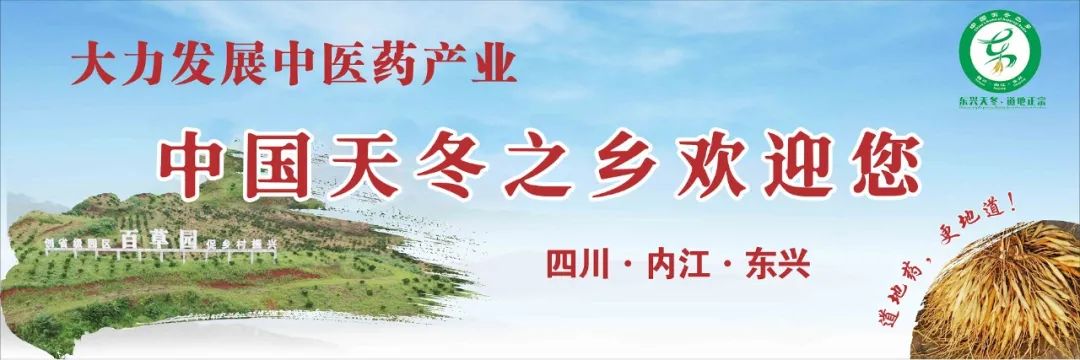 高效养殖致富羊_养羊致富_致富经创业项目农村养殖羊