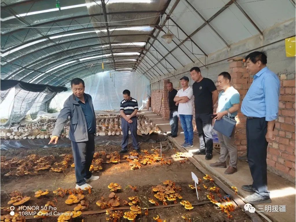 致富养殖食用菌图片_食用菌养殖户_食用菌养殖致富