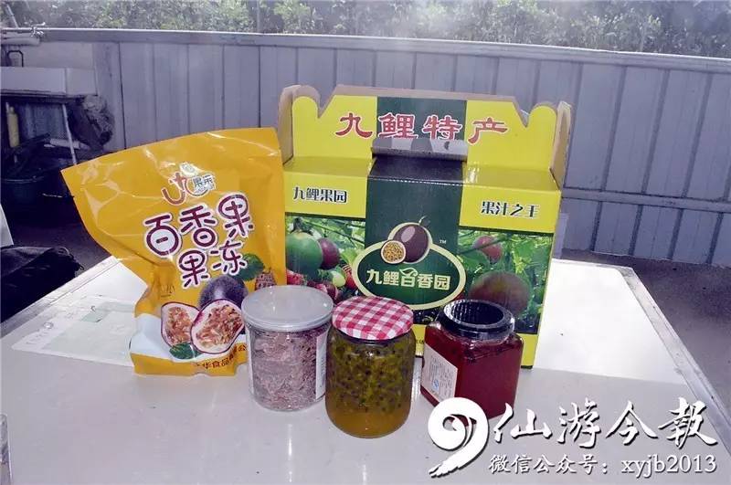 果树种植致富经_致富经百香果种植技术_果业种植