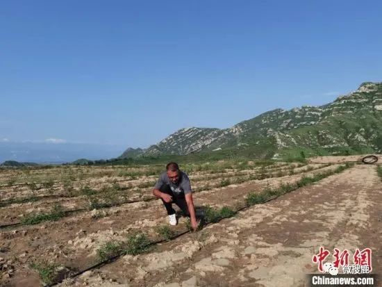 致富种植视频全集_大山种植致富视频_山区致富