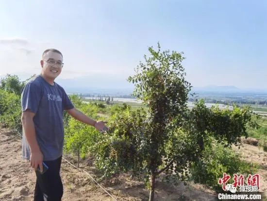 大山种植致富视频_致富种植视频全集_山区致富