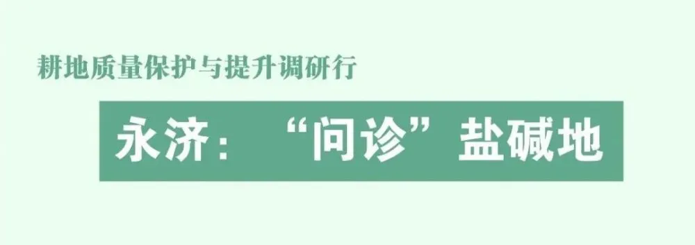 成效作物优质推广经验总结_成效作物优质推广经验怎么写_优质作物推广成效及经验