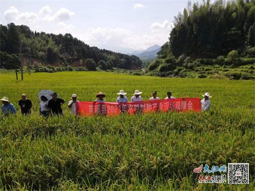 湖南种植业致富梦_湖南种植什么最赚钱_湖南农村致富项目